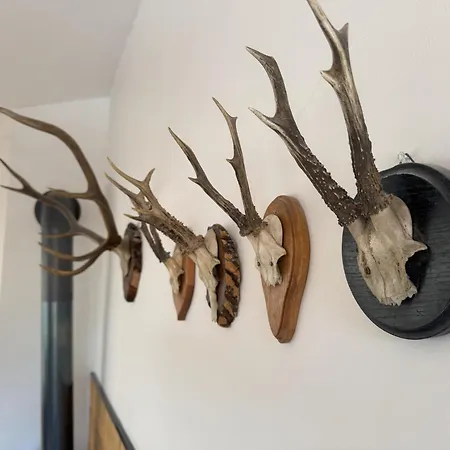 Berghaus Traumblick Apartment Bad Kleinkirchheim